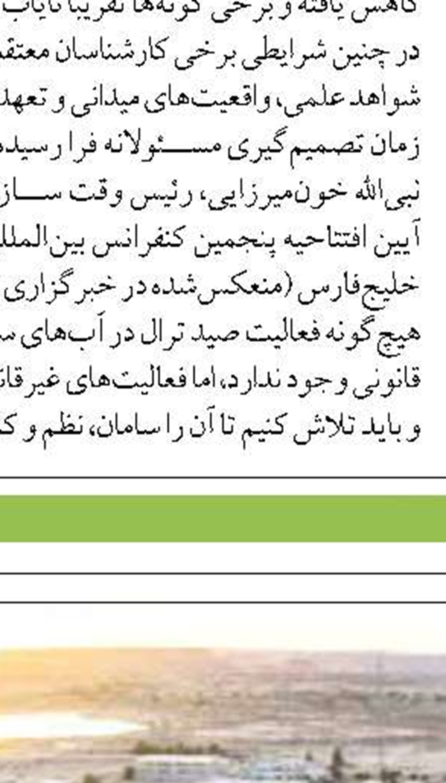 صید ماهی حلوا سفید در آبهای بوشهر ممنوع اعلام شد