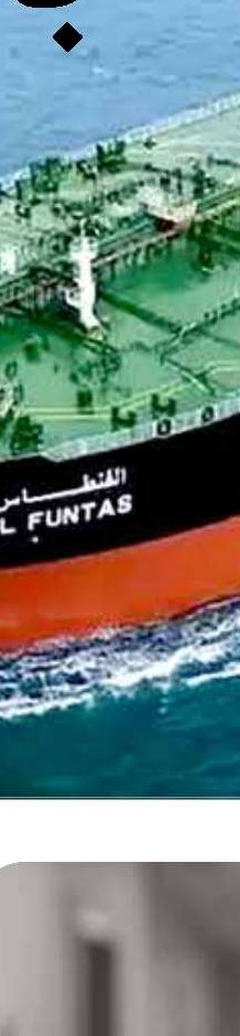 از نخلستان تا دریا 