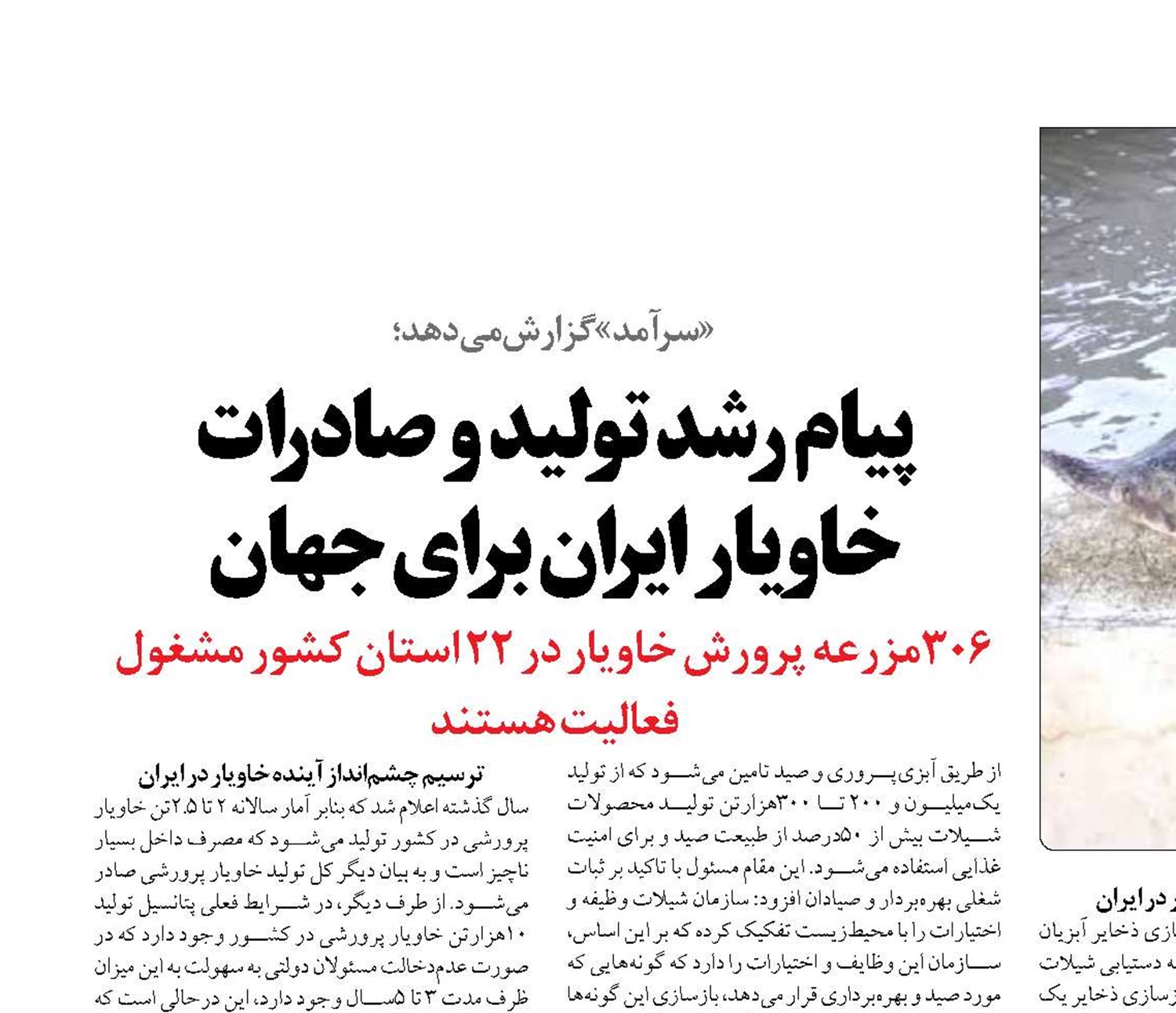 پیام رشد تولید و صادرات خاویار ایران برای جهان