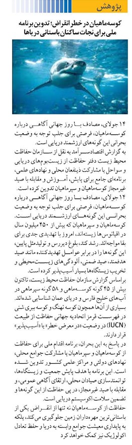 کوسهماهیان در خطر انقراض؛ تدوین برنامه ملی برای نجات ساکنان باستانی دریاها