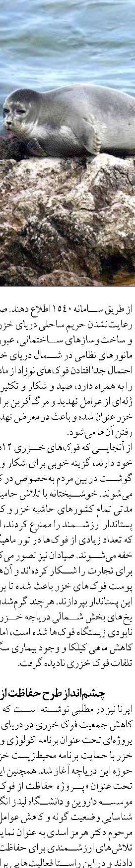 دستاورد جدید محققان در حوزه محیط زیست فناوری پهپادی در خدمت حفاظت از جنگل‌های حرا