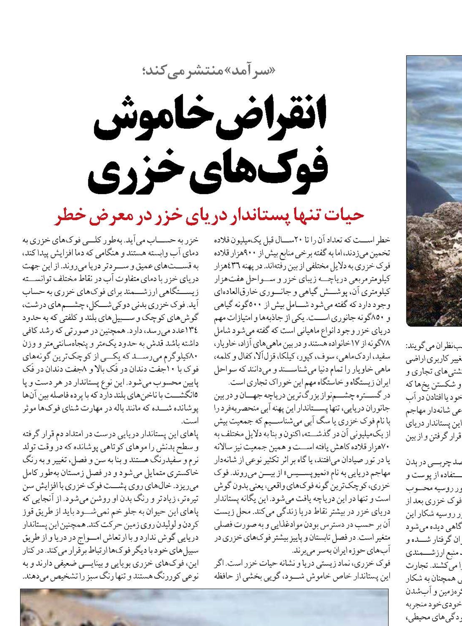 انقراض خاموش  فوک‌های خزری