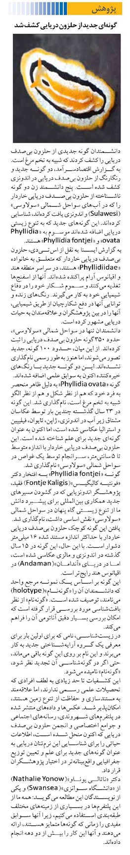گونهای جدید از حلزون دریایی کشف شد