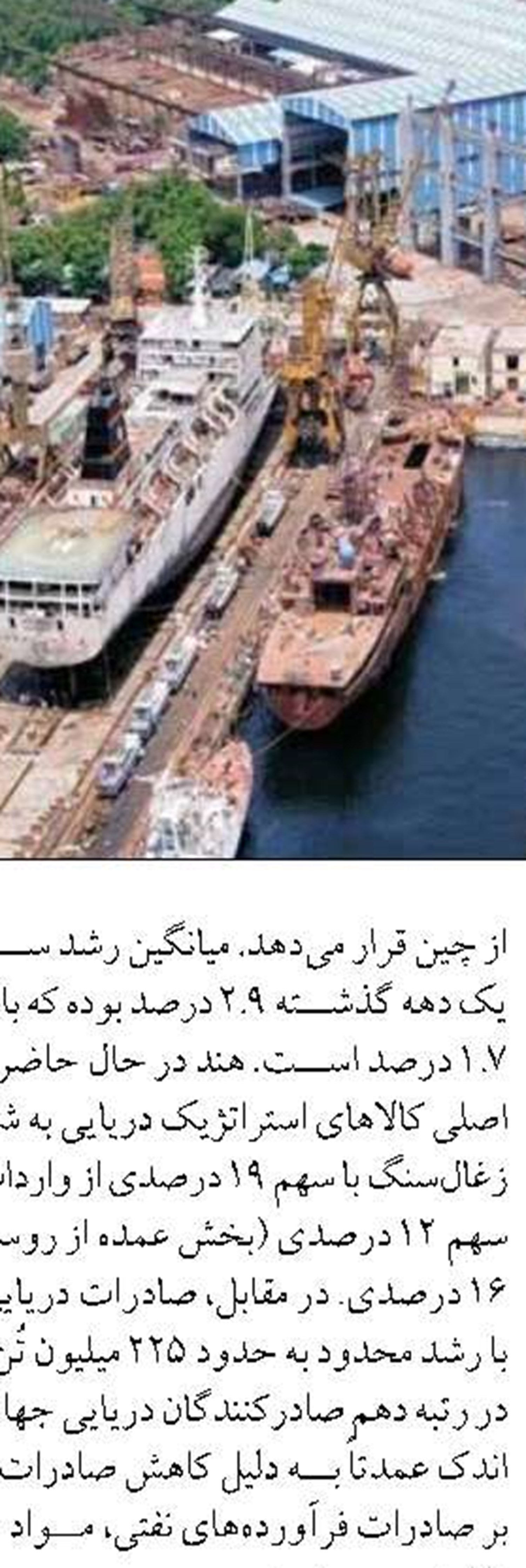 آغاز صید میگو در سواحل خلیج‌فارس استان بوشهر از 7 مرداد ماه
