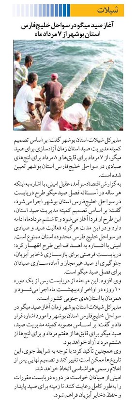 آغاز صید میگو در سواحل خلیجفارس استان بوشهر از 7 مرداد ماه