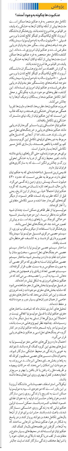 عنکبوت ها چگونه به وجود آمدند؟