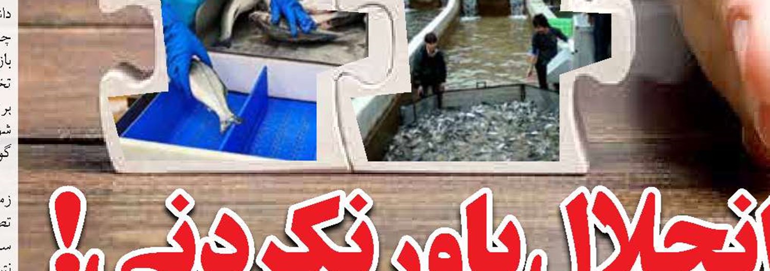 سه محور تحول‌آفرین برای کاهش تخلفات در ترخیص گمرکات