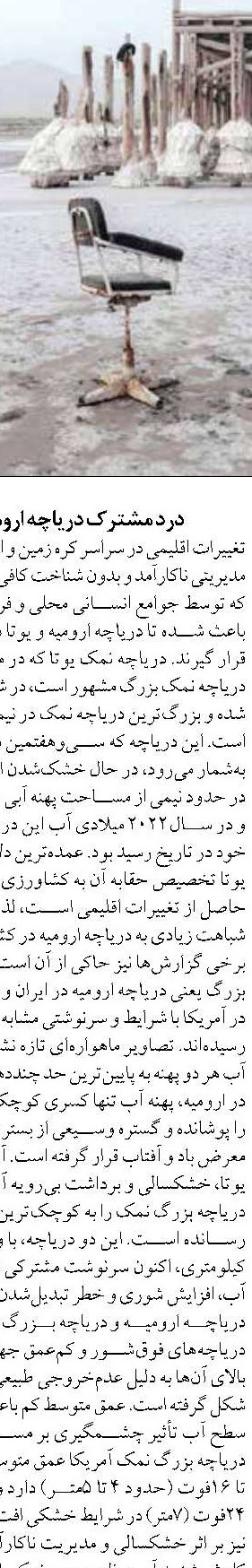 «سکوت مرموز نهنگ‌های آبی» 