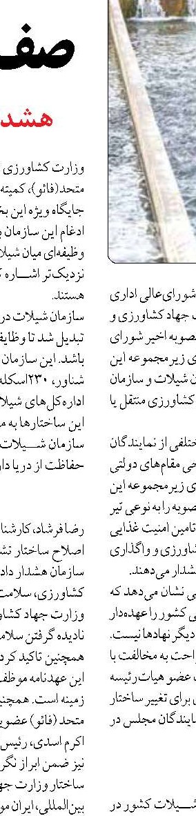 روند توليد ميگوي پرورشي در ايران بهبود مي یابد