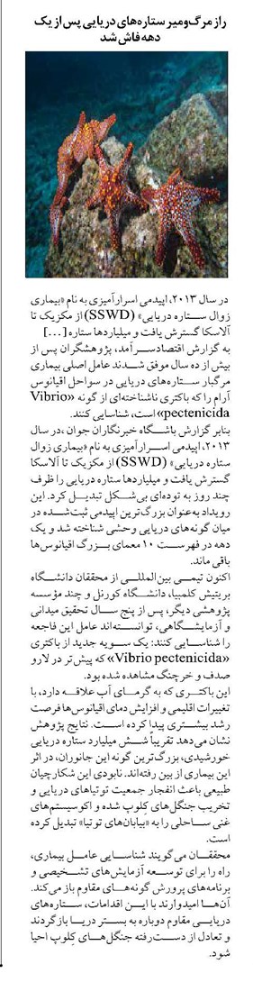 راز مرگومیر ستارههای دریایی پس از یک دهه فاش شد