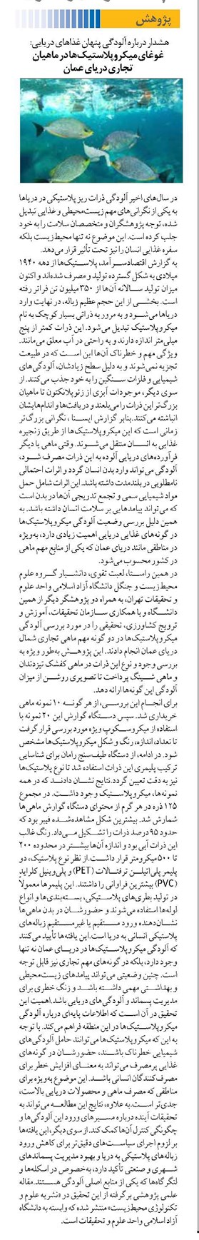 غوغای میکروپلاستیکها در ماهیان تجاری دریای عمان