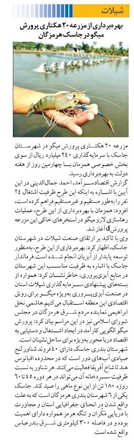 بهرهبرداری از مزرعه ۲۰ هکتاری پرورش میگو در جاسک هرمزگان