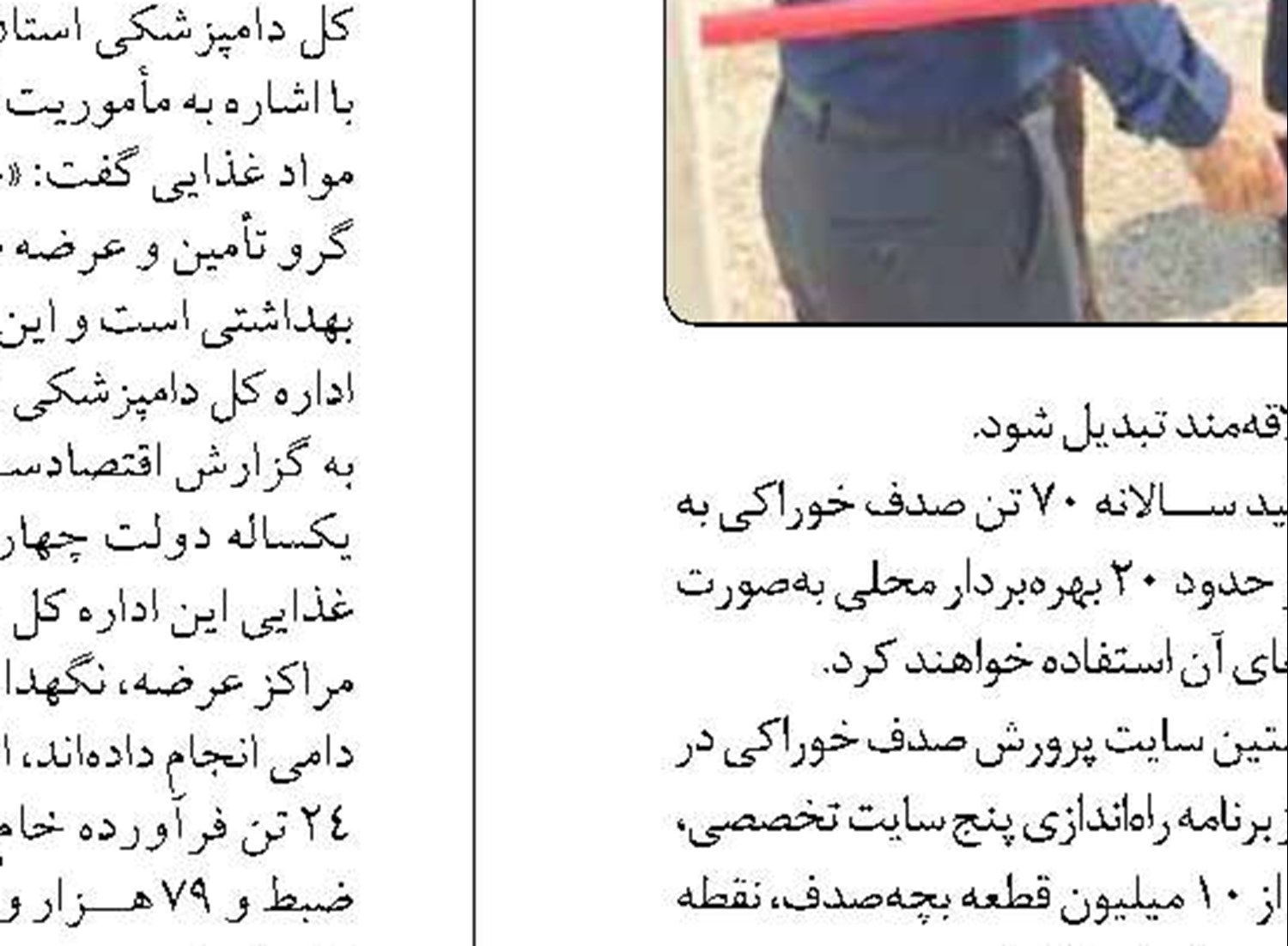 پروژه بزرگ نیکان الگویی موفق در بازآفرینی بافت تاریخی شیراز است