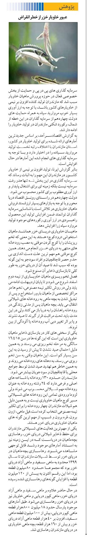 عبور خاویار خزر از خطر انقراض