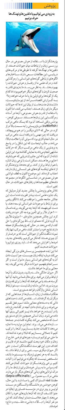 به زودی میتوانیم با دلفینها و نهنگها حرف بزنیم