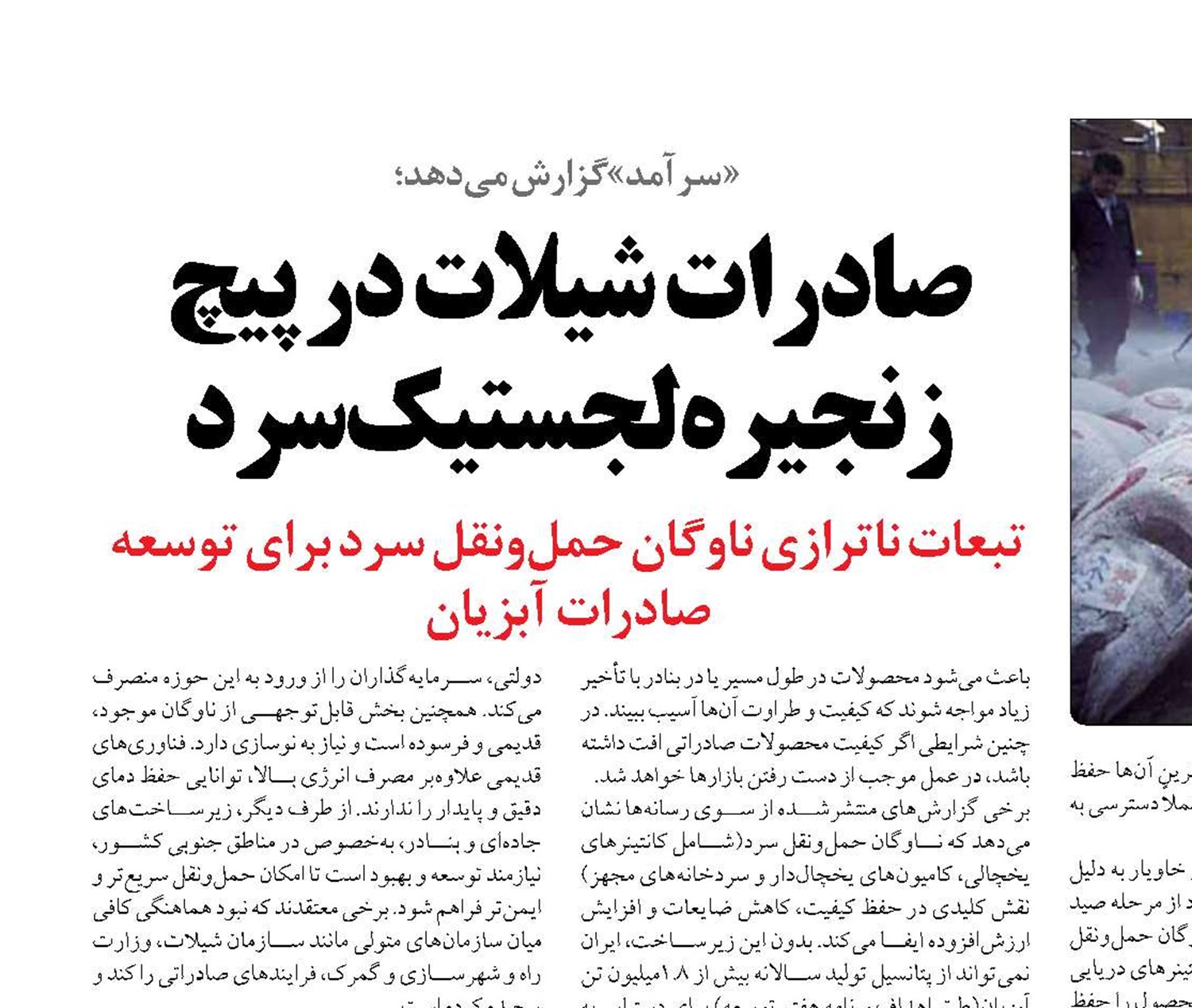 صادرات شیلات در پیچ زنجیره لجستیک سرد