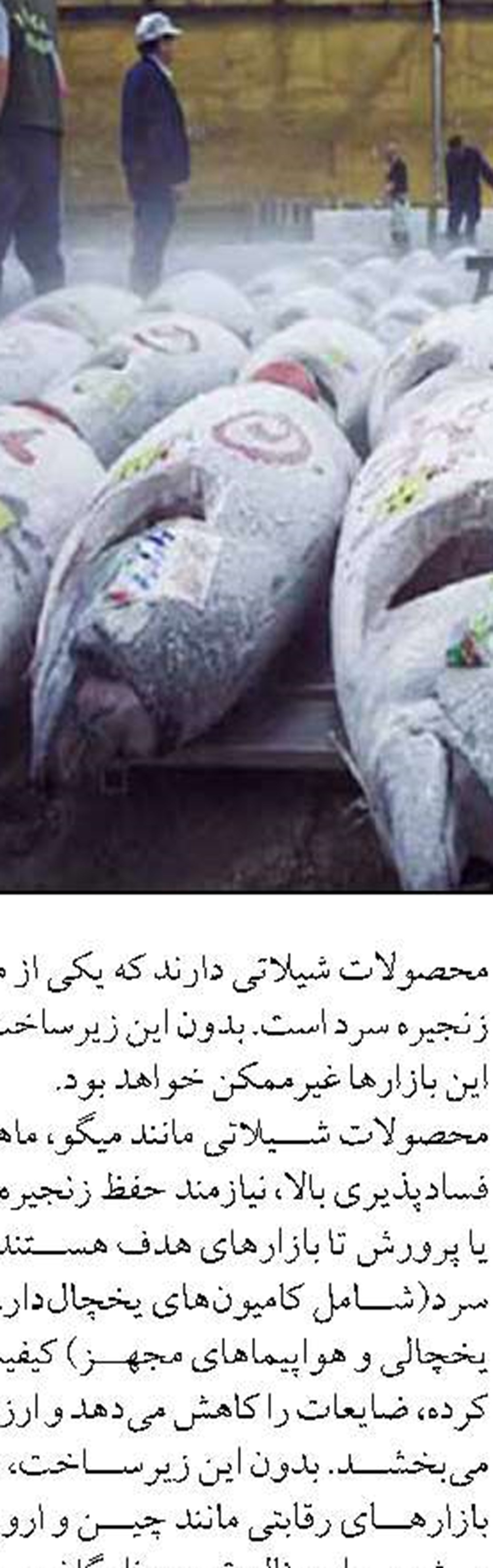 گسترش زنجيره هاي ارزش در صنعت آبزيان با نقش آفريني شركت 21 بيضا
