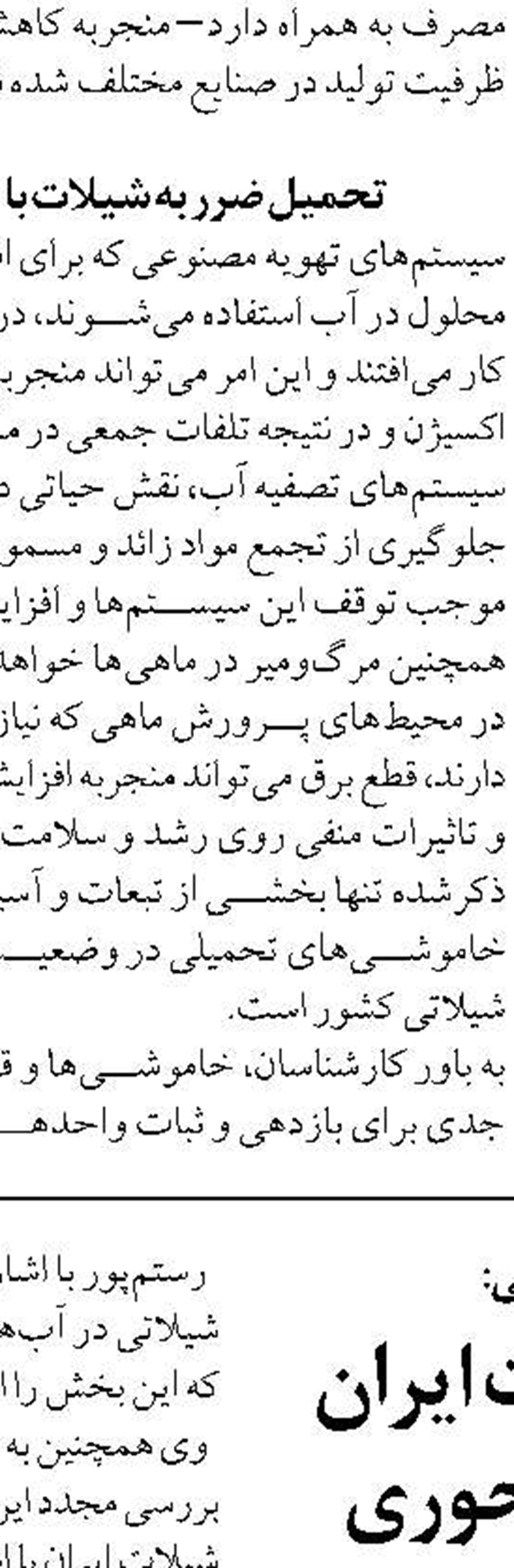 پایان فصل صید میگو در بوشهر ، افزایش  ۴۴ درصدی میزان صید