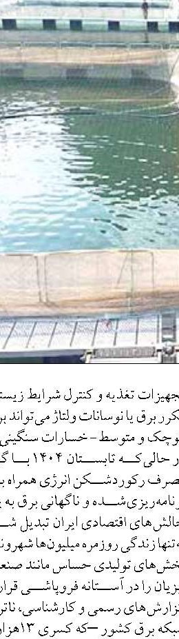  از زنجيره ارزش تا امنيت صيد  و صادرات آبزيان