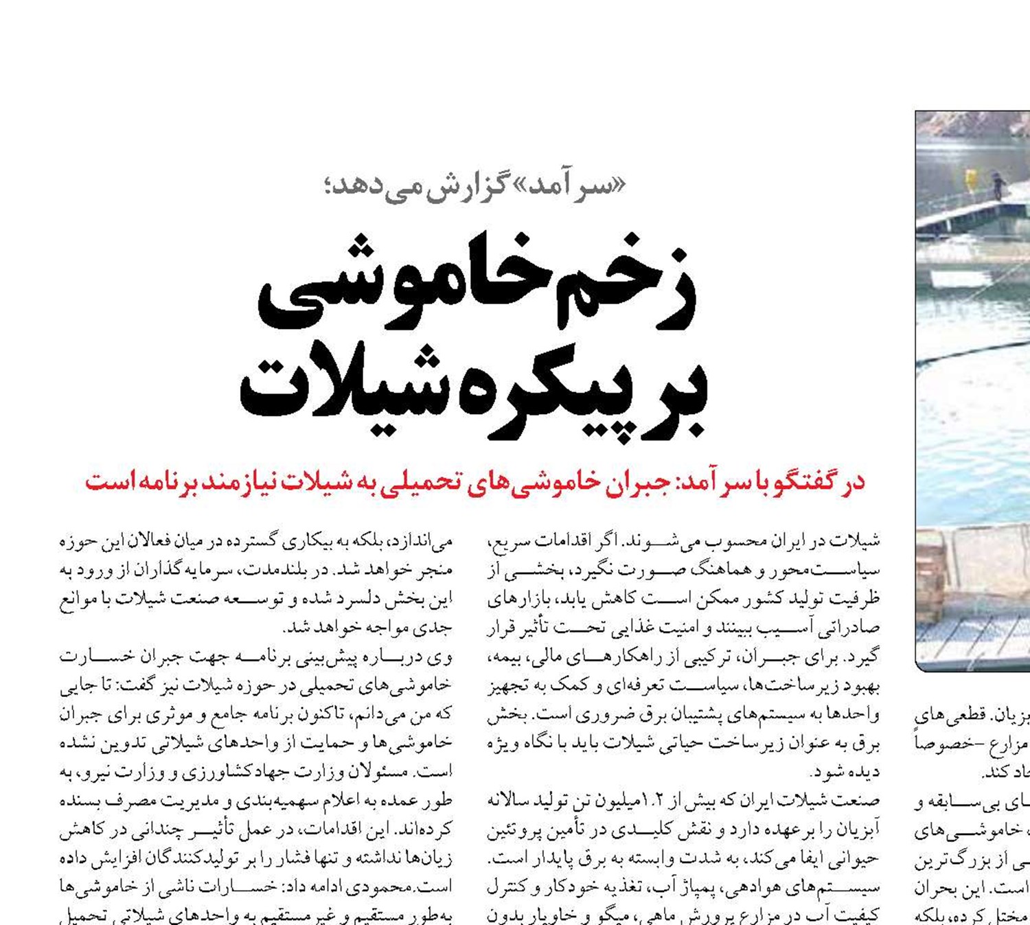 زخم خاموشی  بر پیکره شیلات