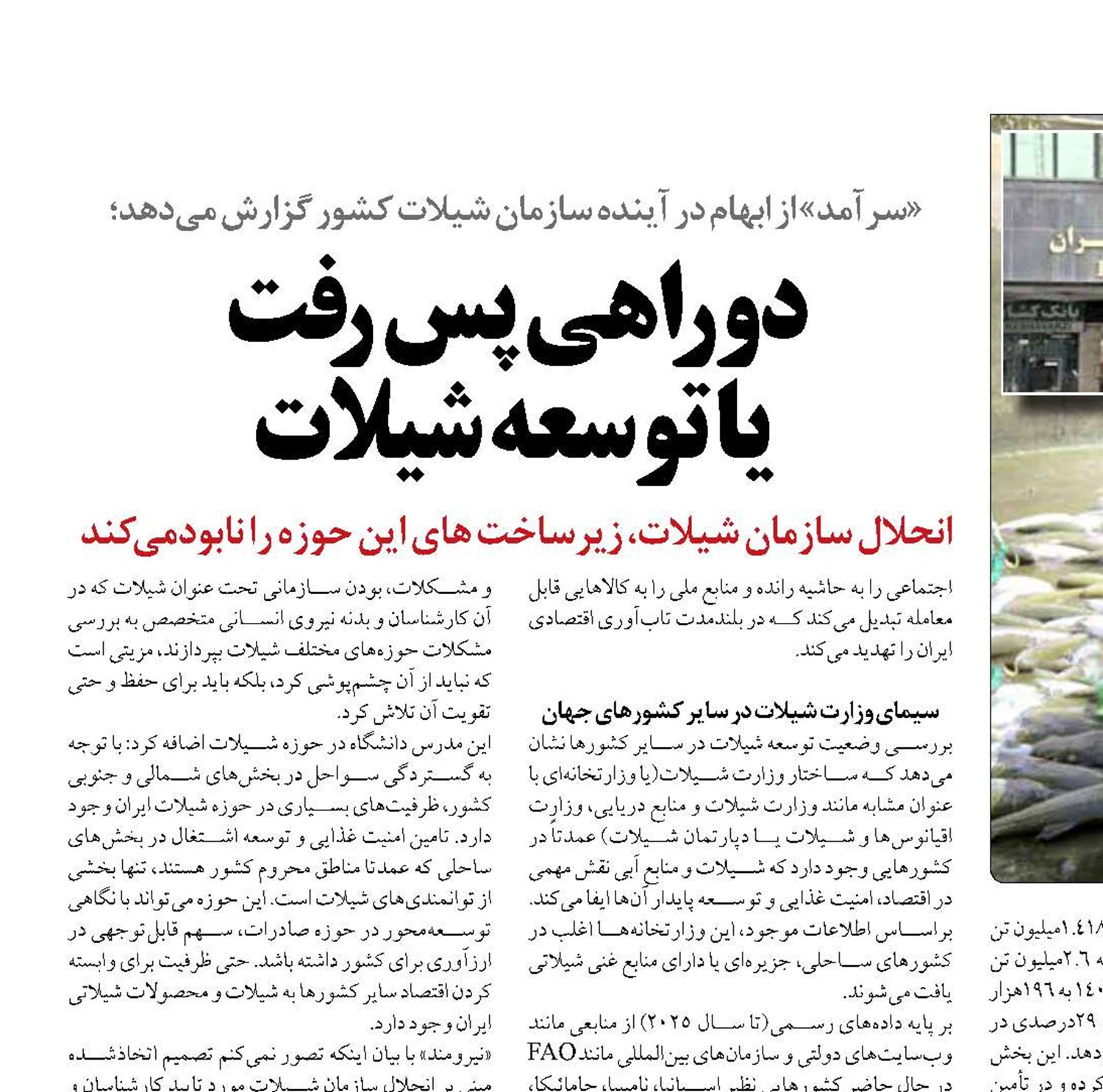 دوراهی پس رفت  یا توسعه شیلات