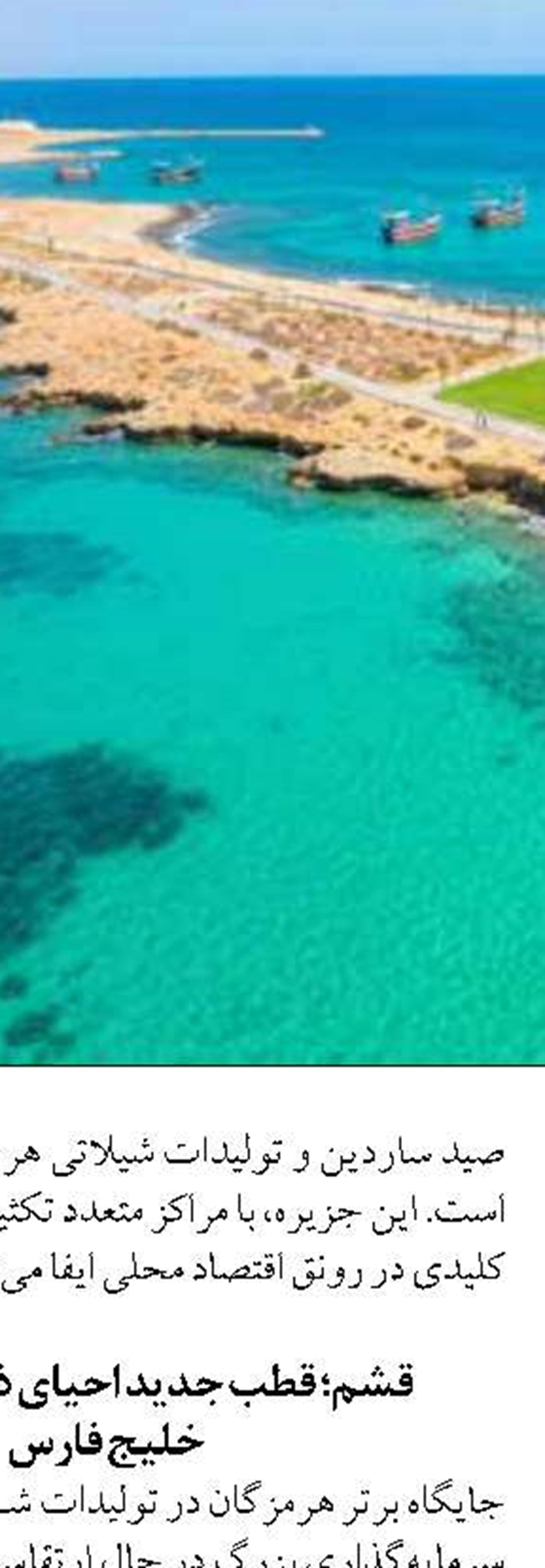 پرورش ماهی در قفس، مصداق اقتصاد دریامحور است