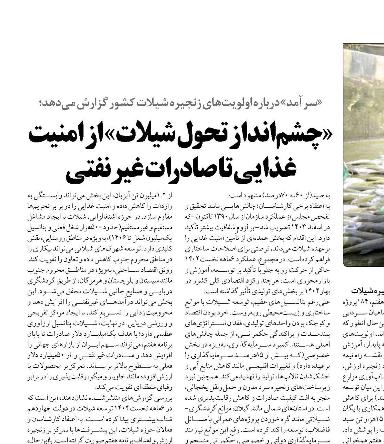 «چشم‌انداز تحول شیلات» از امنیت غذایی تا صادرات غیرنفتی