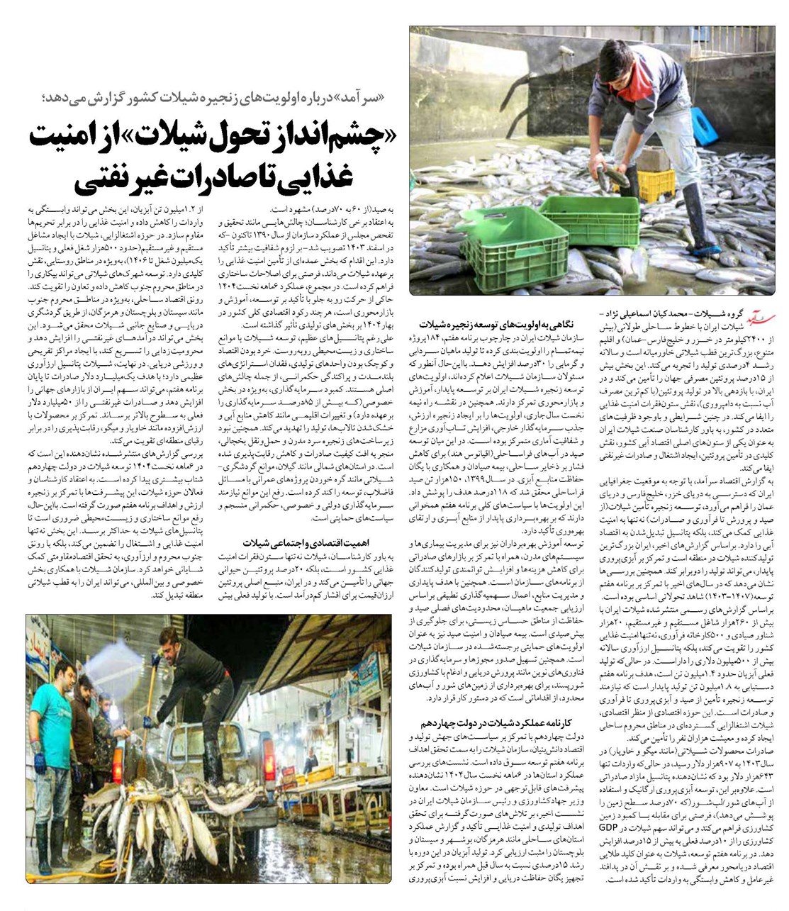 «چشمانداز تحول شیلات» از امنیت غذایی تا صادرات غیرنفتی