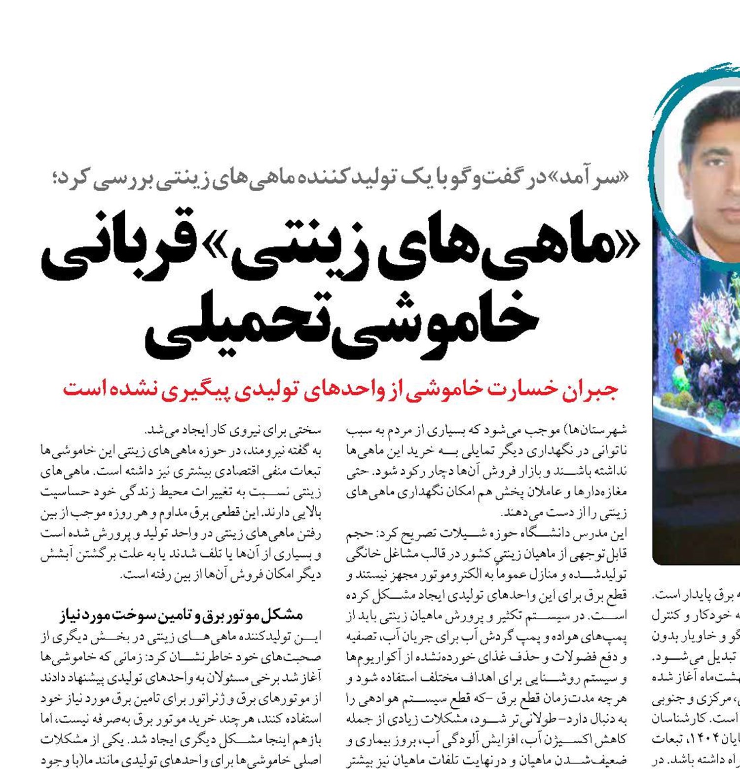 «ماهی‌های زینتی»  قربانی خاموشی تحمیلی
