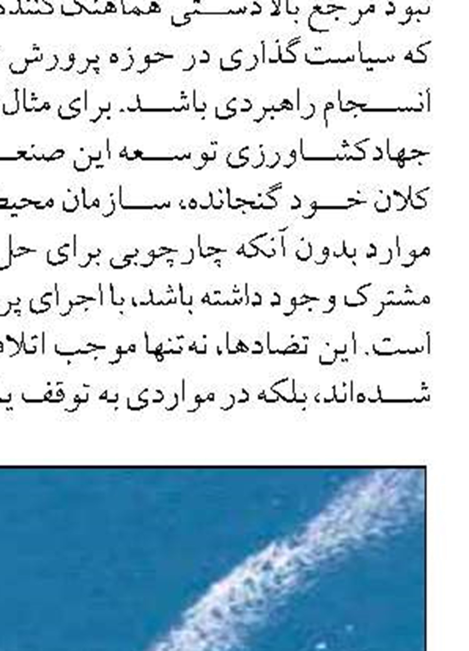 توليد ۱۸ ميليون قطعه ماهيان زينتي در آذربايجان شرقي