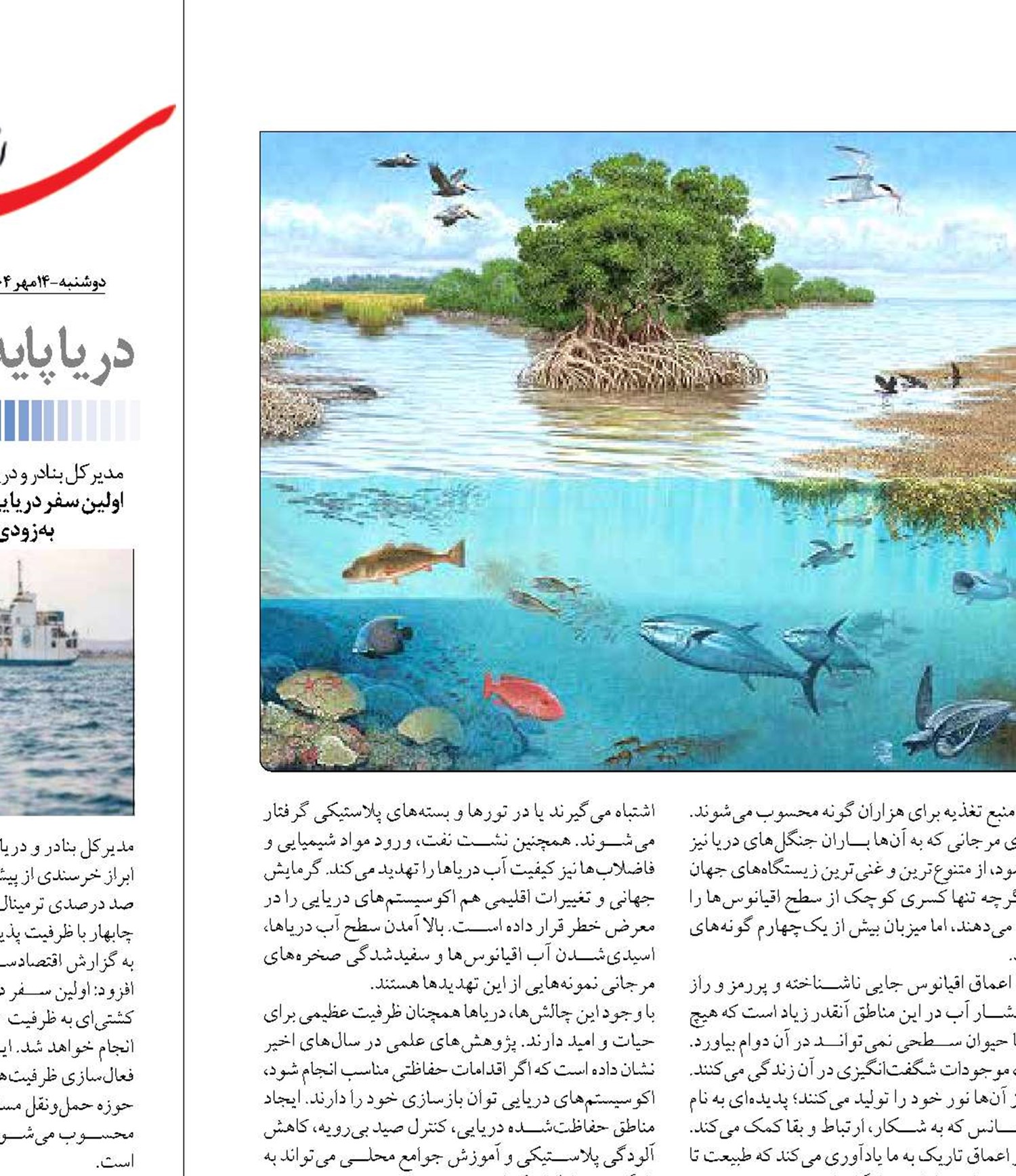 نقش حیاتی اکوسیستم دریایی در تعادل زمین