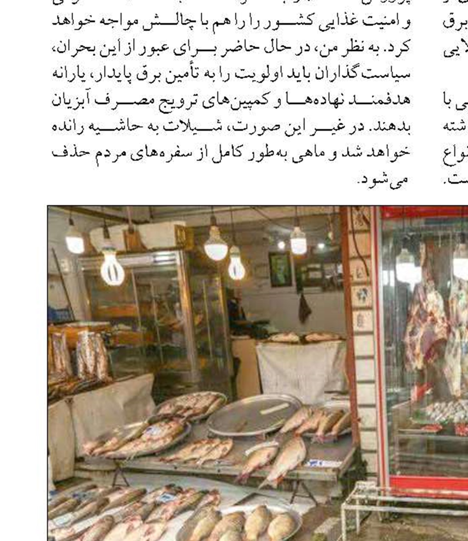 فعالیت ۲۵۰ کشتی اقیانوس‌پیما  در ایران