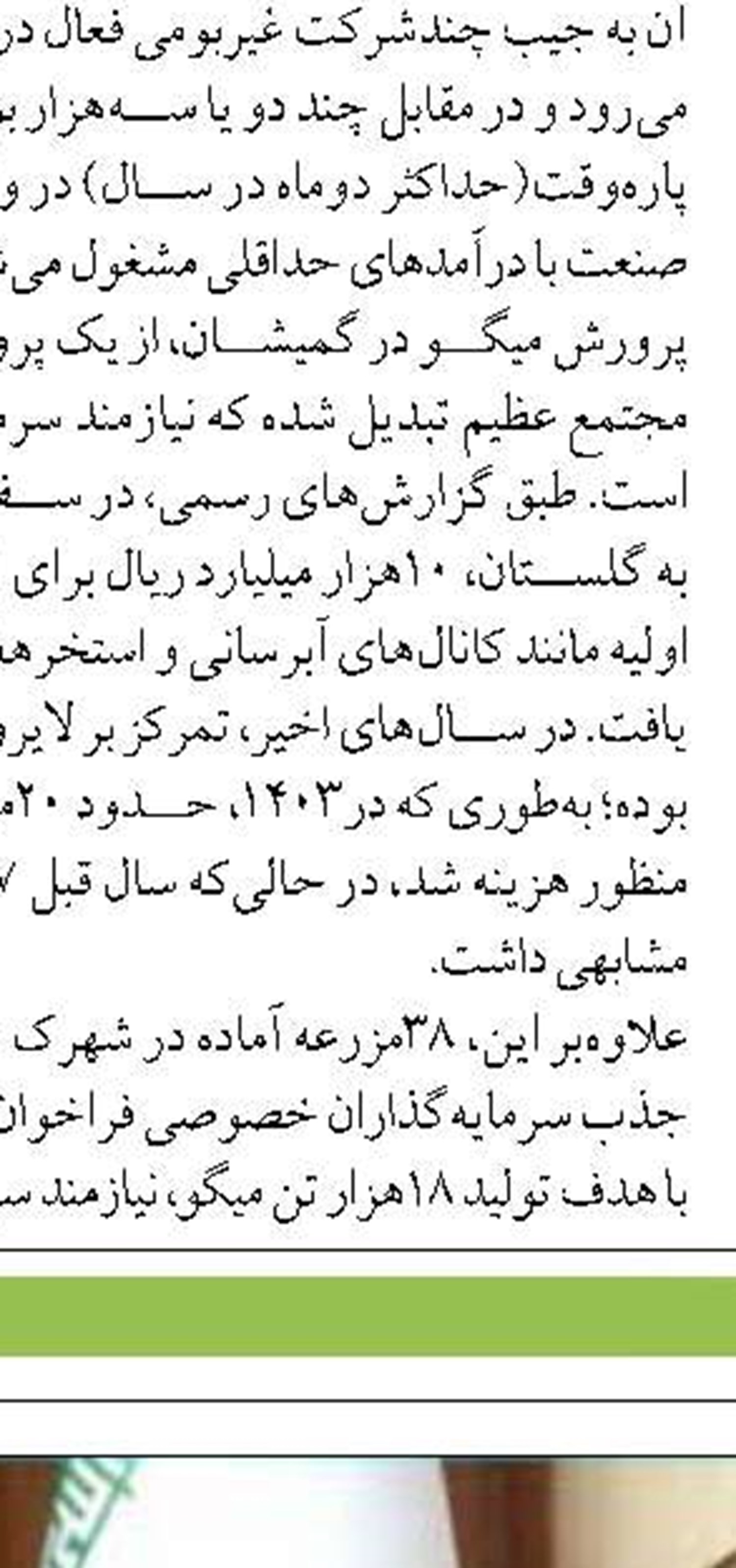 سطح زيركشت ميگو در خوزستان به بيش از هزار هكتار رسيد