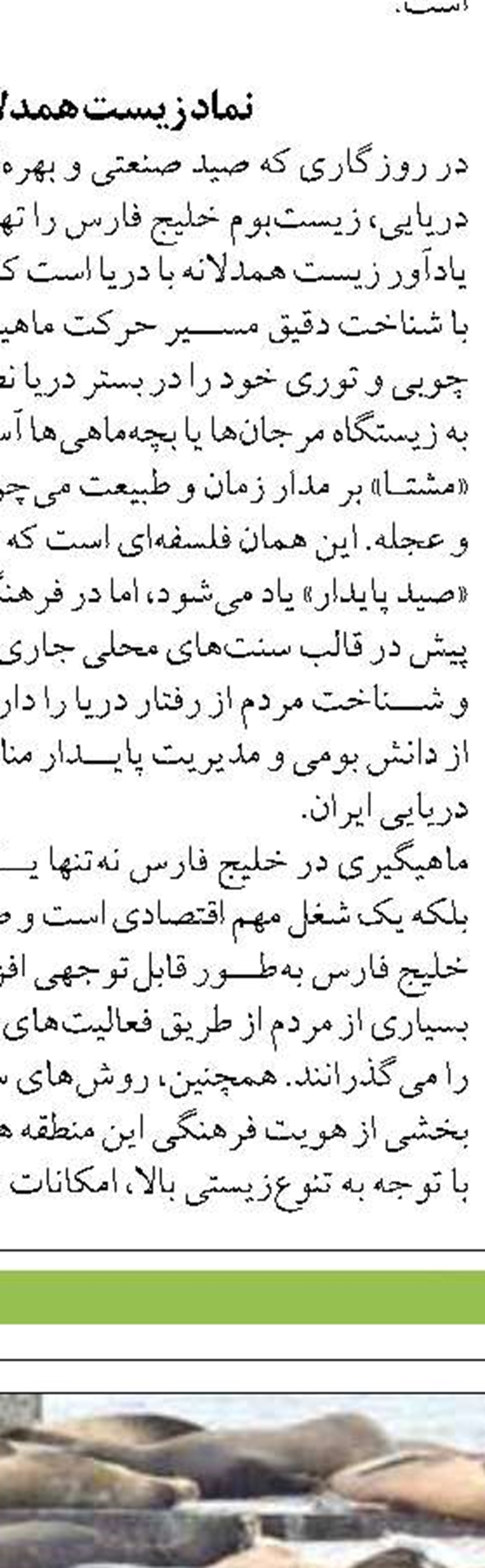 مدیرکل شیلات بوشهر: بچه‌ماهی رایگان  به کشاورزان واگذار می‌شود