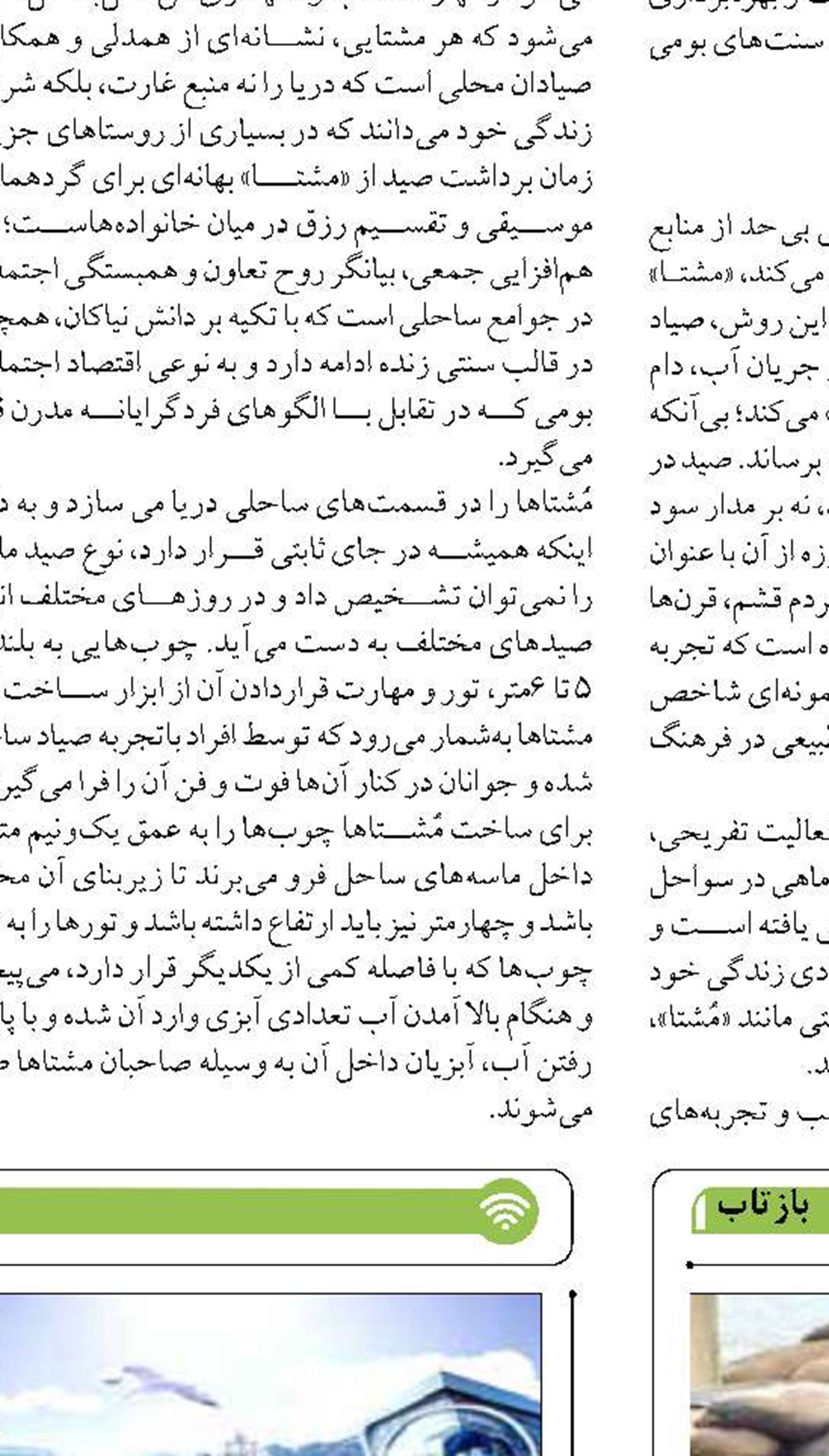 علت مرگ فوک‌های خزری  معلوم نیست