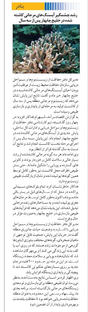 رشد چشمگیر آبسنگهای مرجانی کاشته شده در خلیج چابهار پس از سه سال