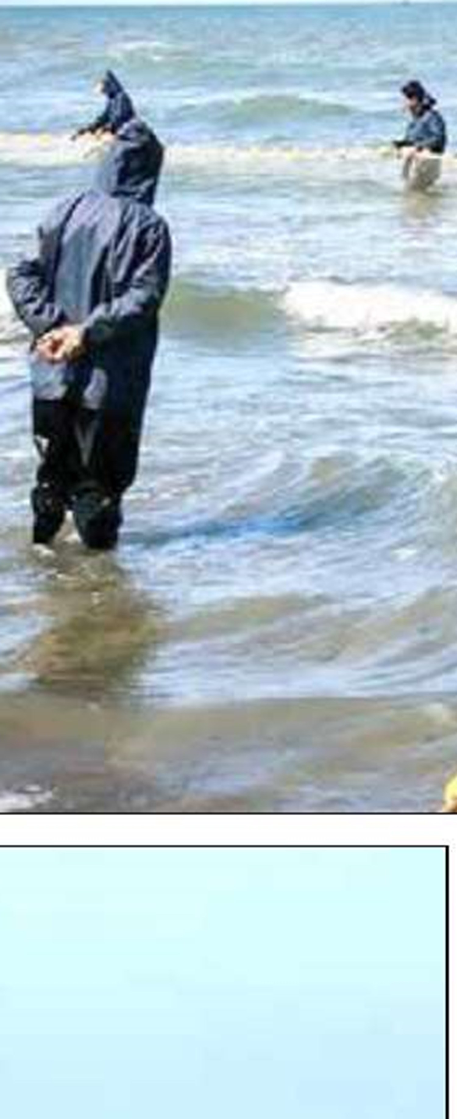 تقدير رئيس سازمان شيلات از بانوان صياد جزيره هنگام