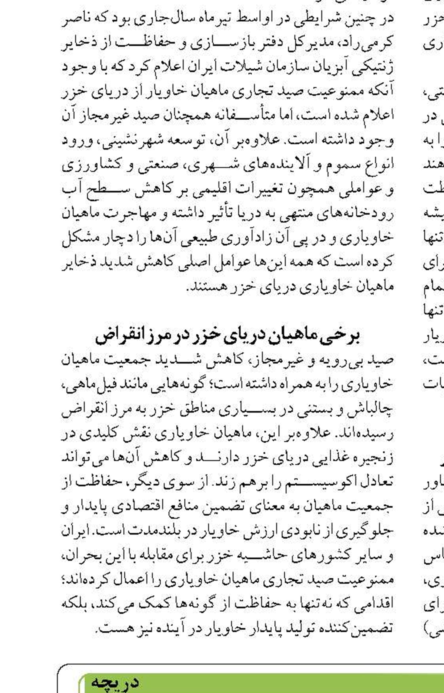 20 کشتی همزمان در بنادر گیلان تخلیه  و بارگیری می‌شود