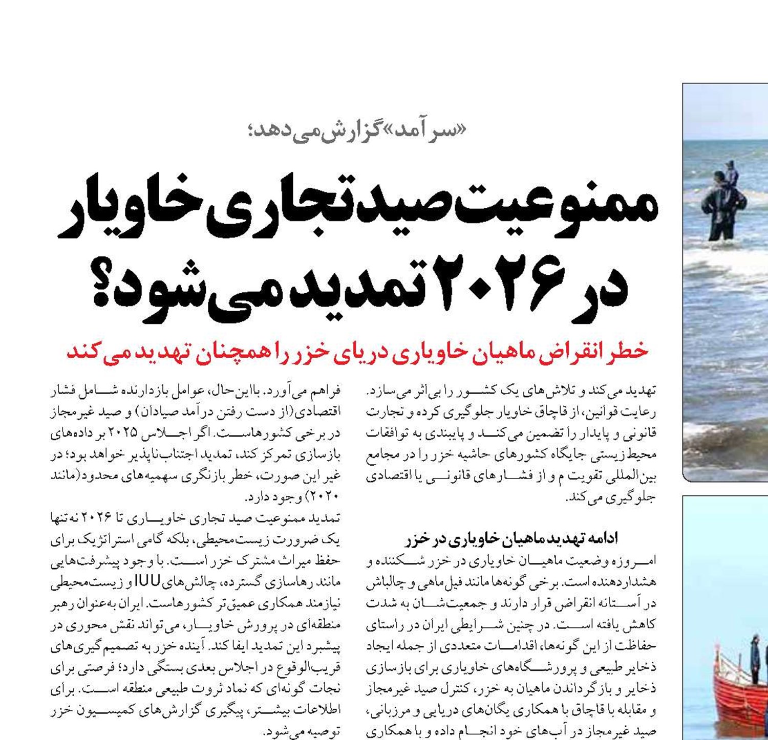 ممنوعیت صید تجاری خاویار در 2026 تمدید می‌شود؟