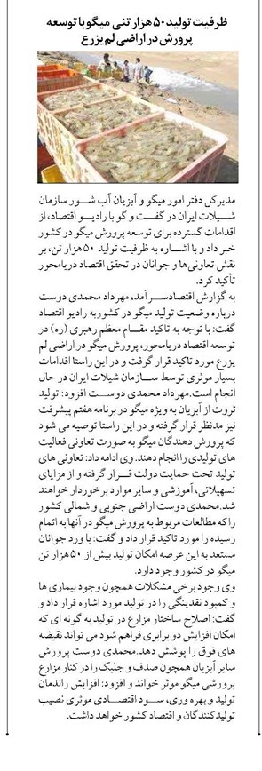 ظرفيت توليد ۵۰ هزار تنی ميگو با توسعه پرورش در اراضي لميزرع