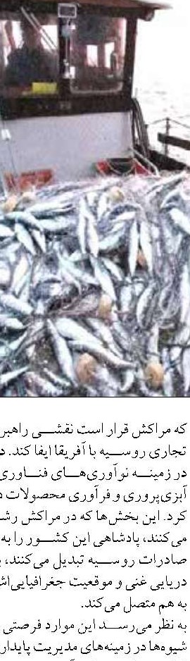 تقدير از مشاركت بخش خصوصي در بازسازي ذخاير خليج  «حمايت از دريا، حمايت از زندگي؛ با مشاركت بخش خصوصي» فارس