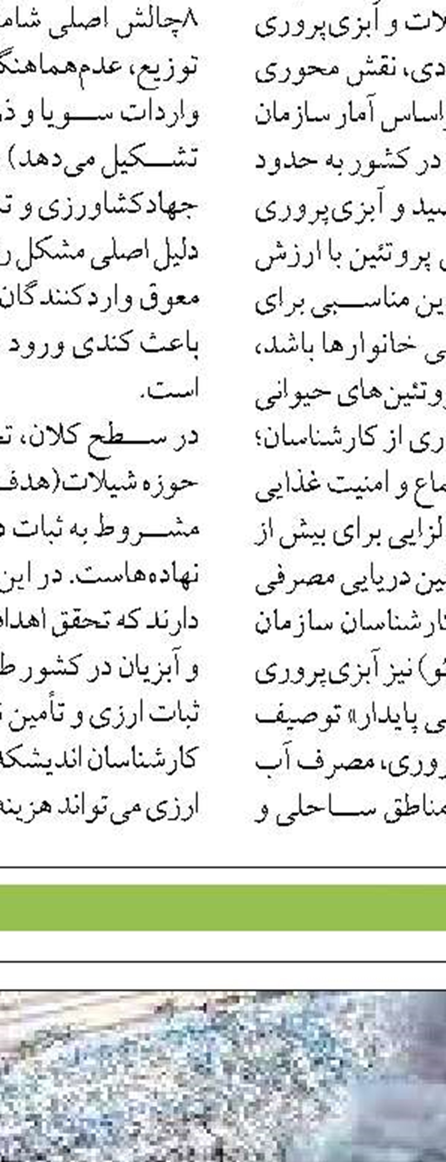 دستگیری ۶ متخلف صید شب‌چراغی  در جاسک