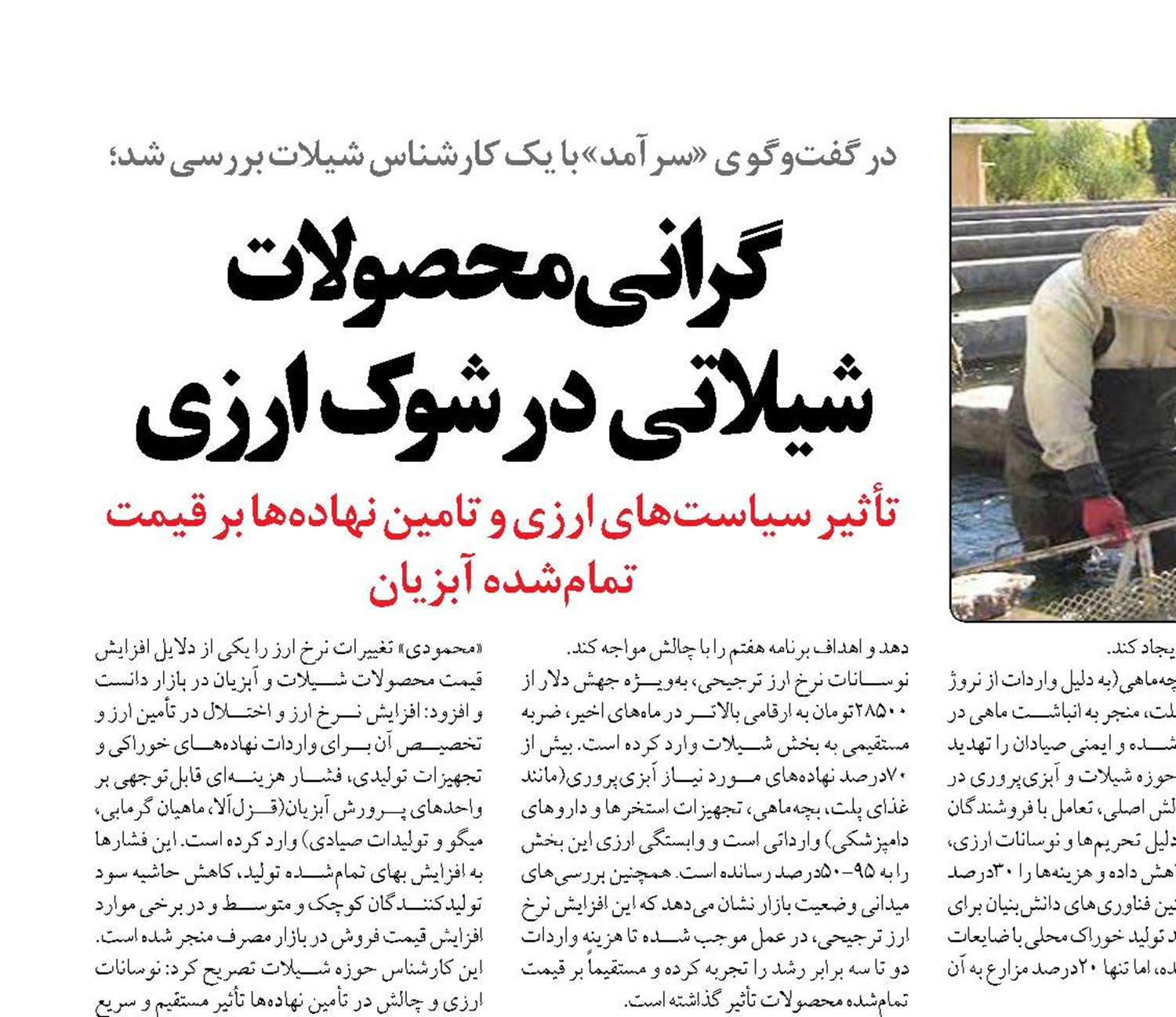 گرانی محصولات شیلاتی در شوک ارزی