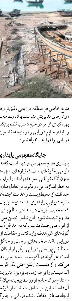 عروس‌های دریایی؛ ژله‌های بی‌مهره با اسرار زندگی شگفت‌انگیز