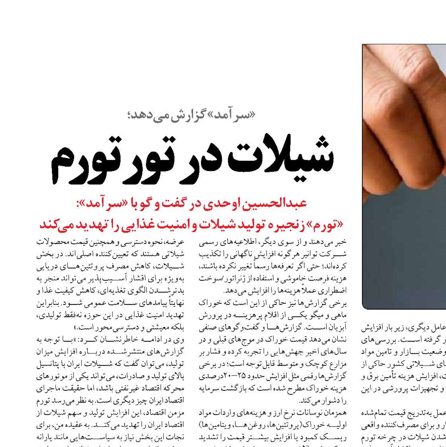 شیلات در تور تورم