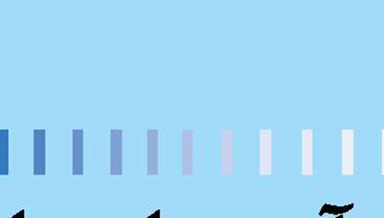 توسعه بنادر ماهیگیری؛ خط مقدم حمایت از جامعه محلی ساحلی