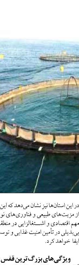 هوش مصنوعي در خدمت امنيت غذايي؛  بررسي نقش هوشمندسازي آبزيان و جايگاه بخش خصوصي