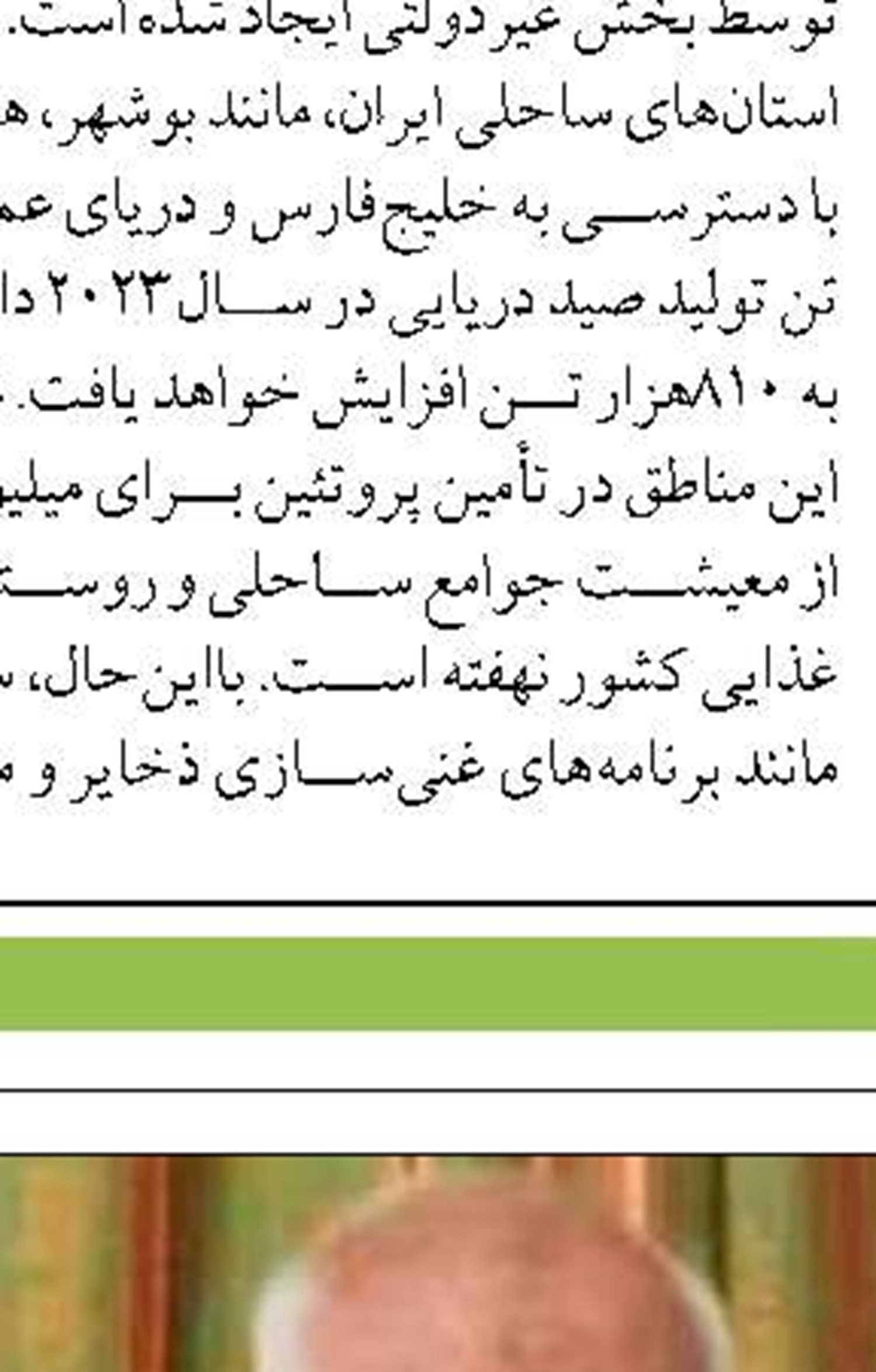 حفظ ذخایر دریا با رهاسازی  ۲ میلیون بچه میگو