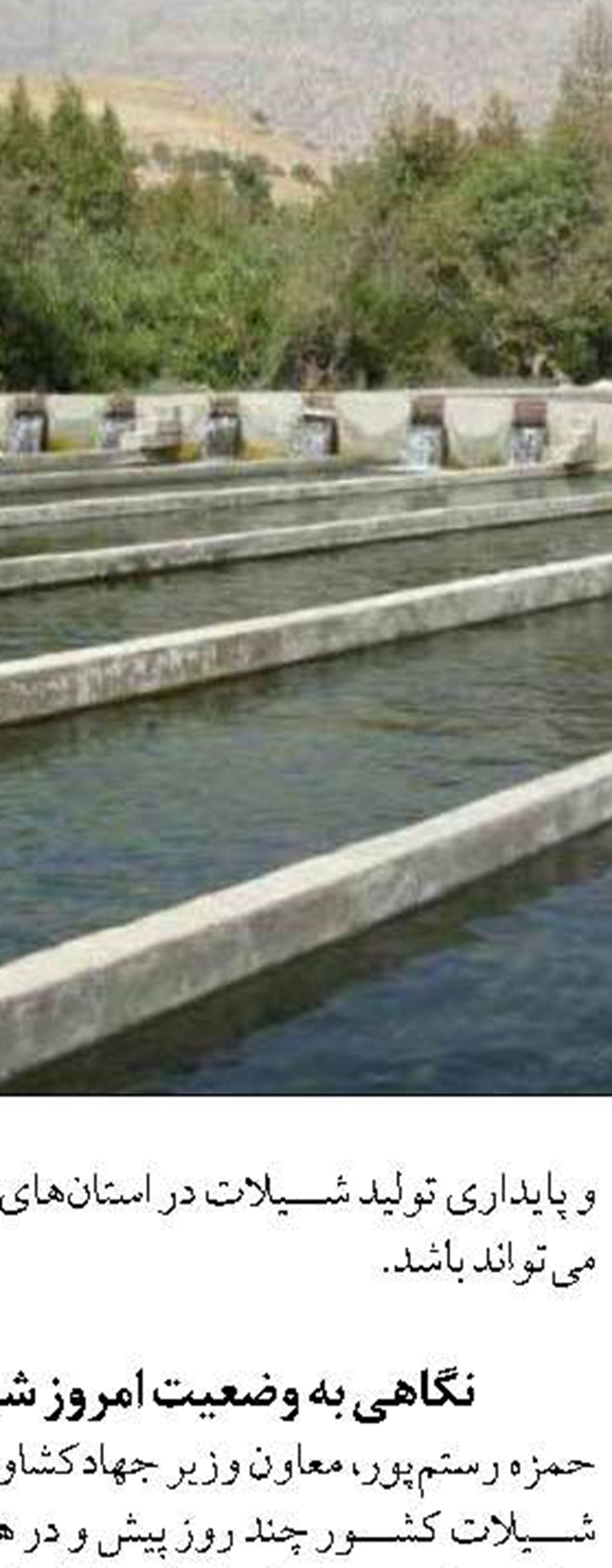 سرمایه‌گذاری ۱۰ همتی در حوزه آبزی‌پروری لرستان