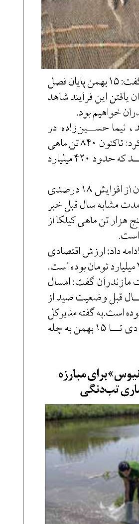رهاسازی ماهی «آفانیوس» برای مبارزه بیولوژیک با بیماری تب‌دنگی